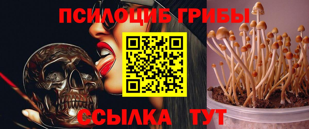 Псилоцибиновые грибы GOLDEN TEACHER Лабинск